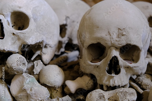 skulls and bones in dark scenery 