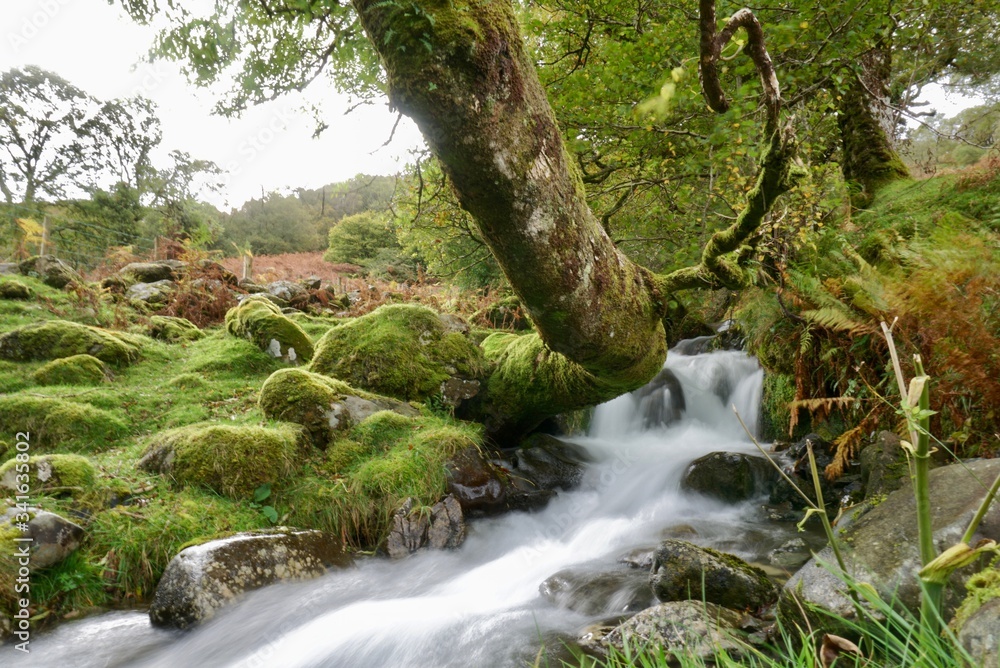 Fototapeta premium Cadair Idris Water