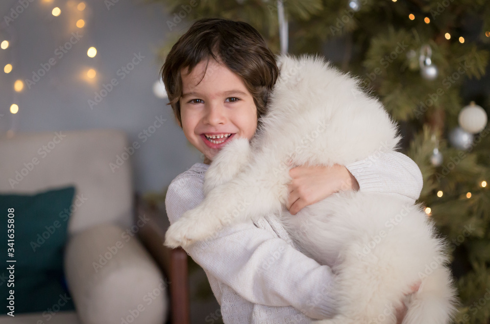 Boy, home, samoyed puppy, fun, Christmas tree Boy, home, samoyed puppy, fun, Christmas tree