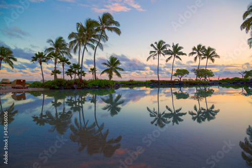 Palm trees reflected in pool of water at Poipu beach, Kauai