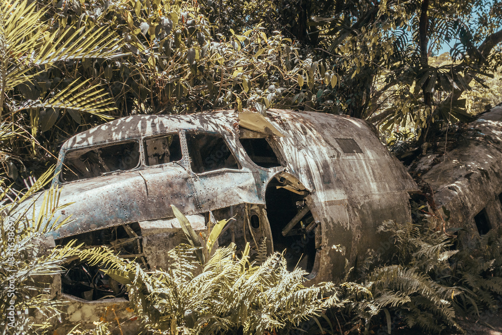 Plane crash in Australian jungle. Old rusty abandoned airplane wreckage