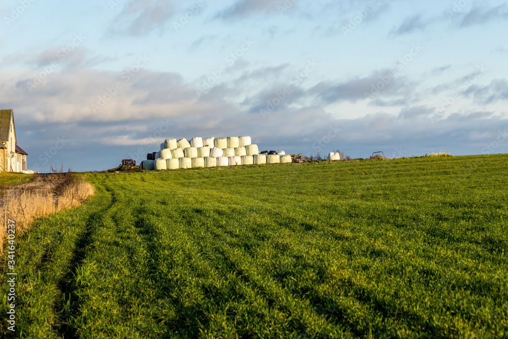 A pyramid of white silage bales on the edge of a field with green grass. Site about agriculture, seasons, dairy farm.  Central Europe .