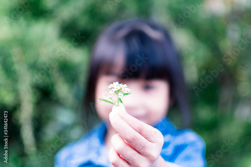 Child's hand holding a small flower. Sharing and giving concept. Love for parents and mothersday concept. Protect kids concept