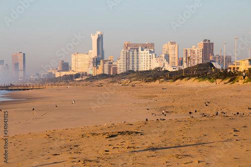 Pigeons Feeding on Shoreline of Beach, Durban, South Africa © lcswart