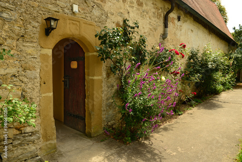 Klostermauer mit Rosen und Str  uchern