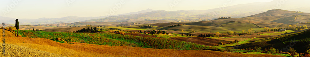 Obraz premium Wavy fields in Tuscany