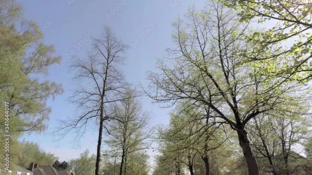 Push-out drone clip of a tree path in a city near two roads on a spring day. Aerial video Push-out drone clip of a tree path in a city near two roads on a spring day. Aerial video