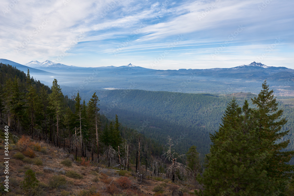 Mountain panorama. View from Green Ridge Lookout in central Oregon.