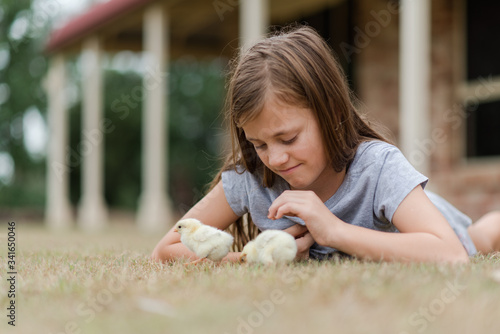 little girl playing with pet baby chicken chicks in the grass