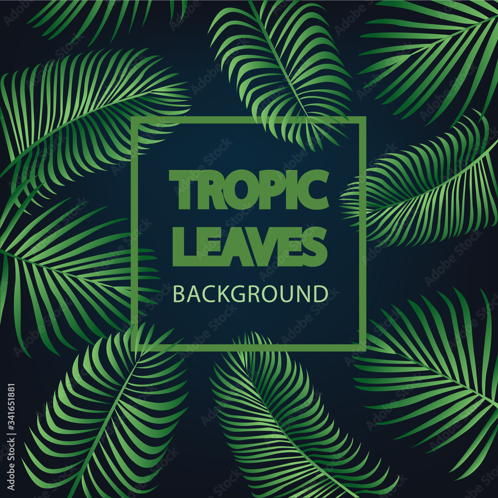 Tropic leaves background with frame for your text.
