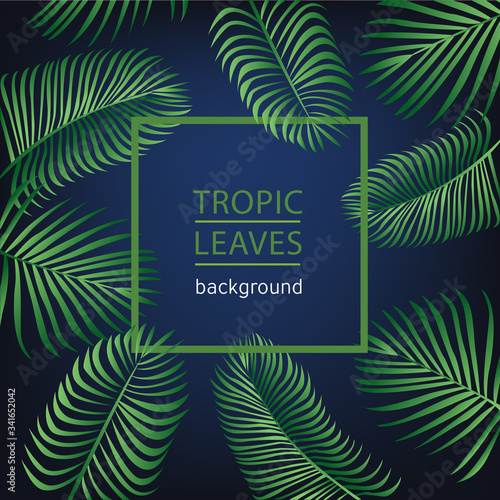 Tropic leaves background with frame for your text.