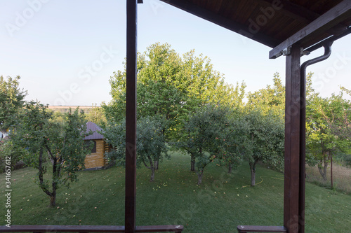 The lawn with pear trees and apple trees.
