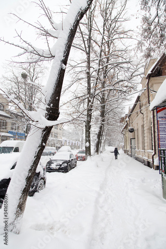 The snow morning of a winter day.