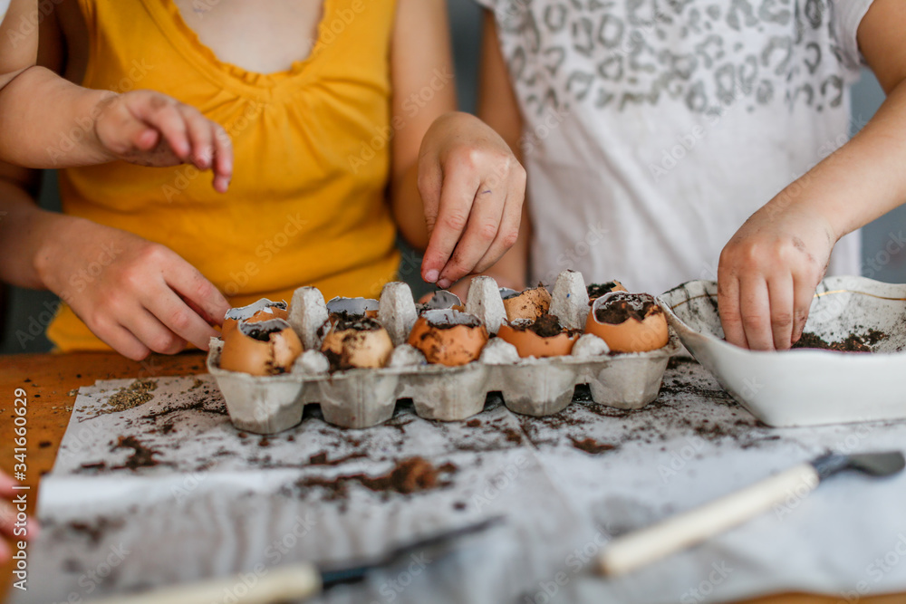 Children sow seeds in pots of eggshells, garden Children sow seeds in pots of eggshells, garden