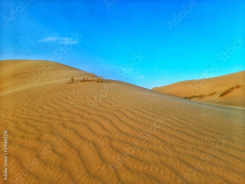 sand dune in desert of Algeria