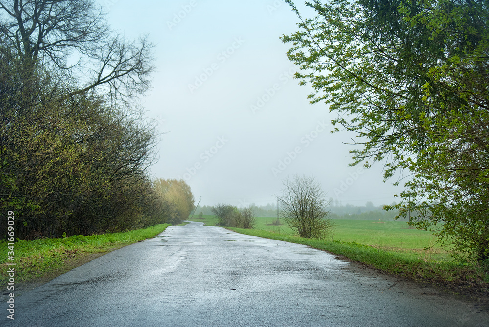 Fototapeta premium Rural asphalt road during the rain between green trees and grass.