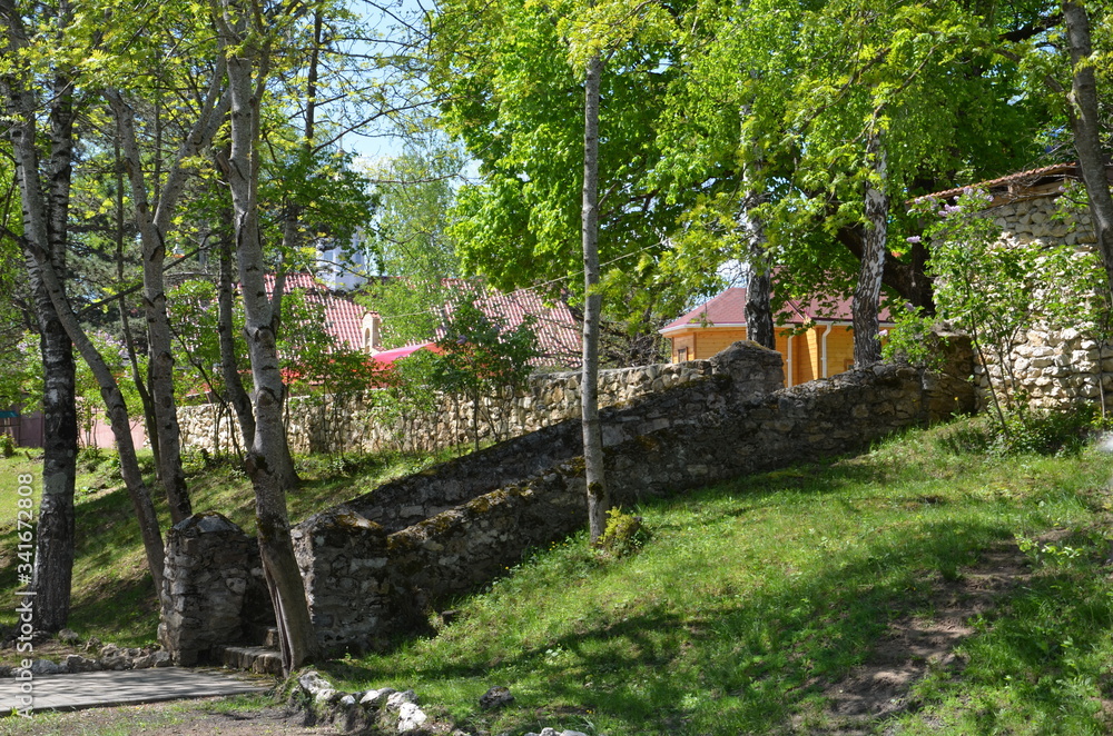 Fototapeta premium house in the park