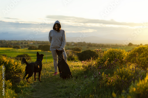 woman in sportswear and two dogs in the field. Walking the dogs