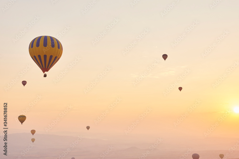 Obraz premium Hot air Balloon 