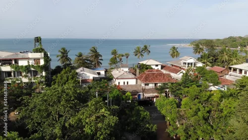 Arugambay Drone Palm Trees Aerial Arugambay Drone Palm Trees Aerial