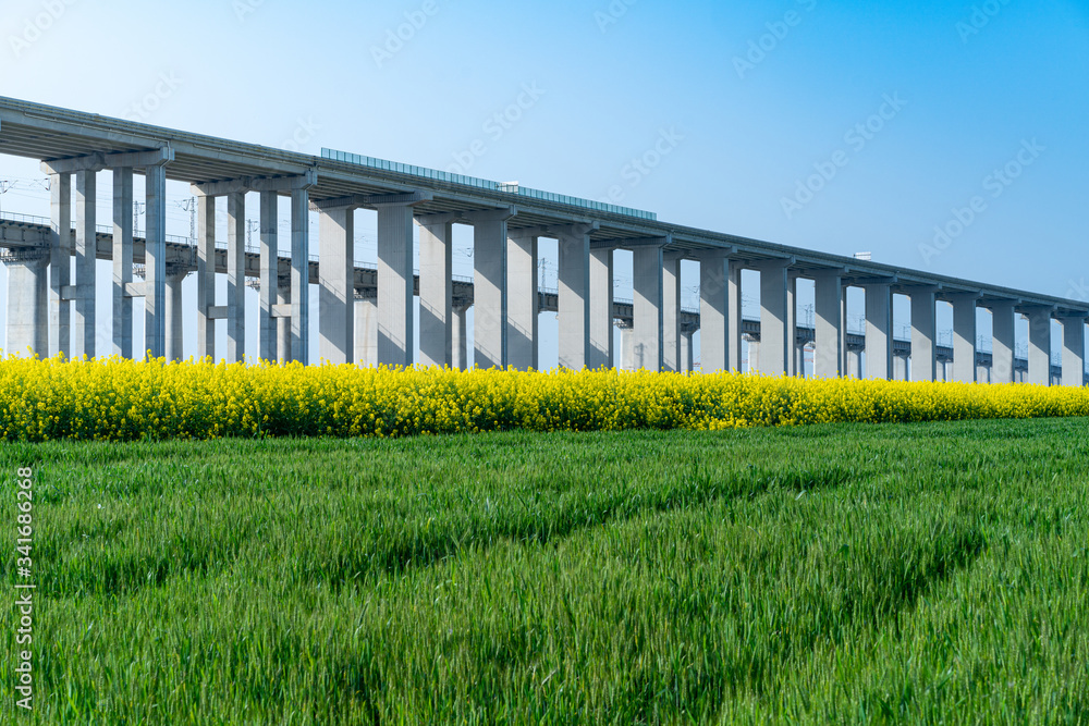 Green fields and viaducts in the blue sky