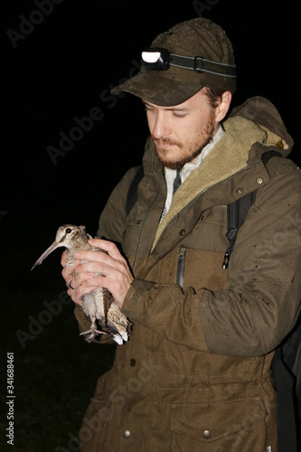 Ornithologist holding the eurasian Woodcock (Scolopax rusticola) in hands during night bird ringing