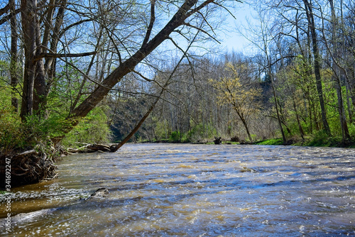 Bild auf Leinwand Cresting river in spring