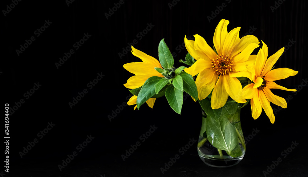 Fresh spring sunflower flowers in a glass vase on a dark wooden table and rustic background. Close-up, spring flowers, copy space for text.