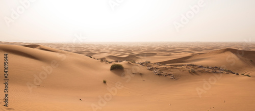 sand dunes in the Dubai desert