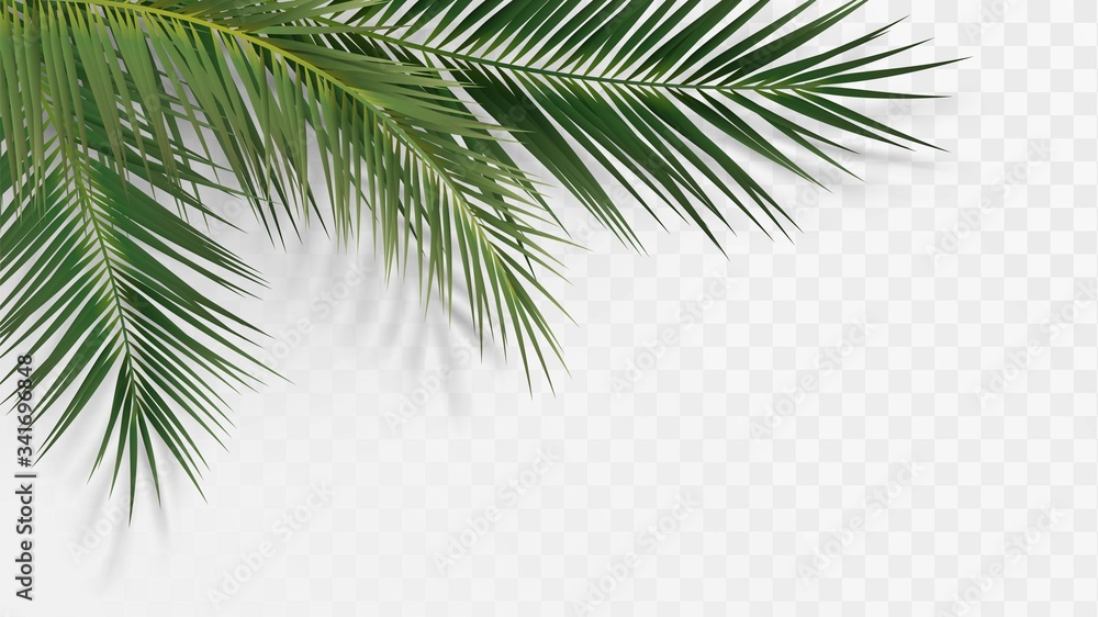 Palm branches in the corner, tropical plants decoration element - obrazy, fototapety, plakaty 