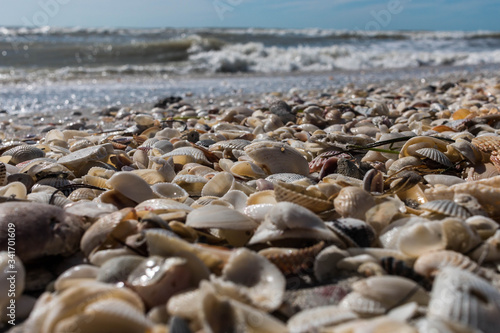 wave and shells on the beach of sanibel island