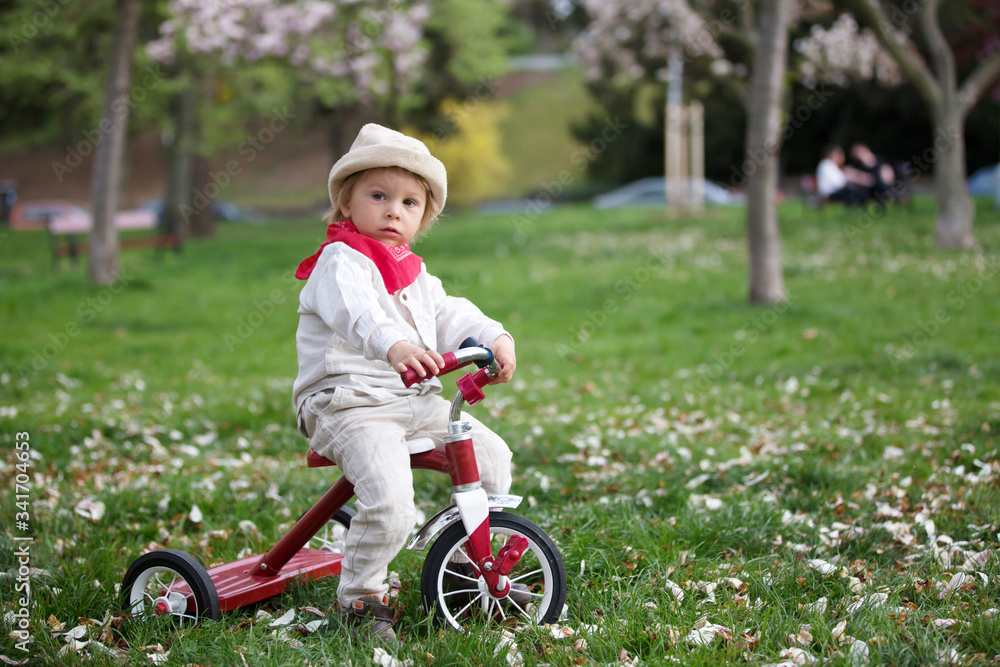 Child, boy in spring park with blooming magnolia trees Child, boy in spring park with blooming magnolia trees