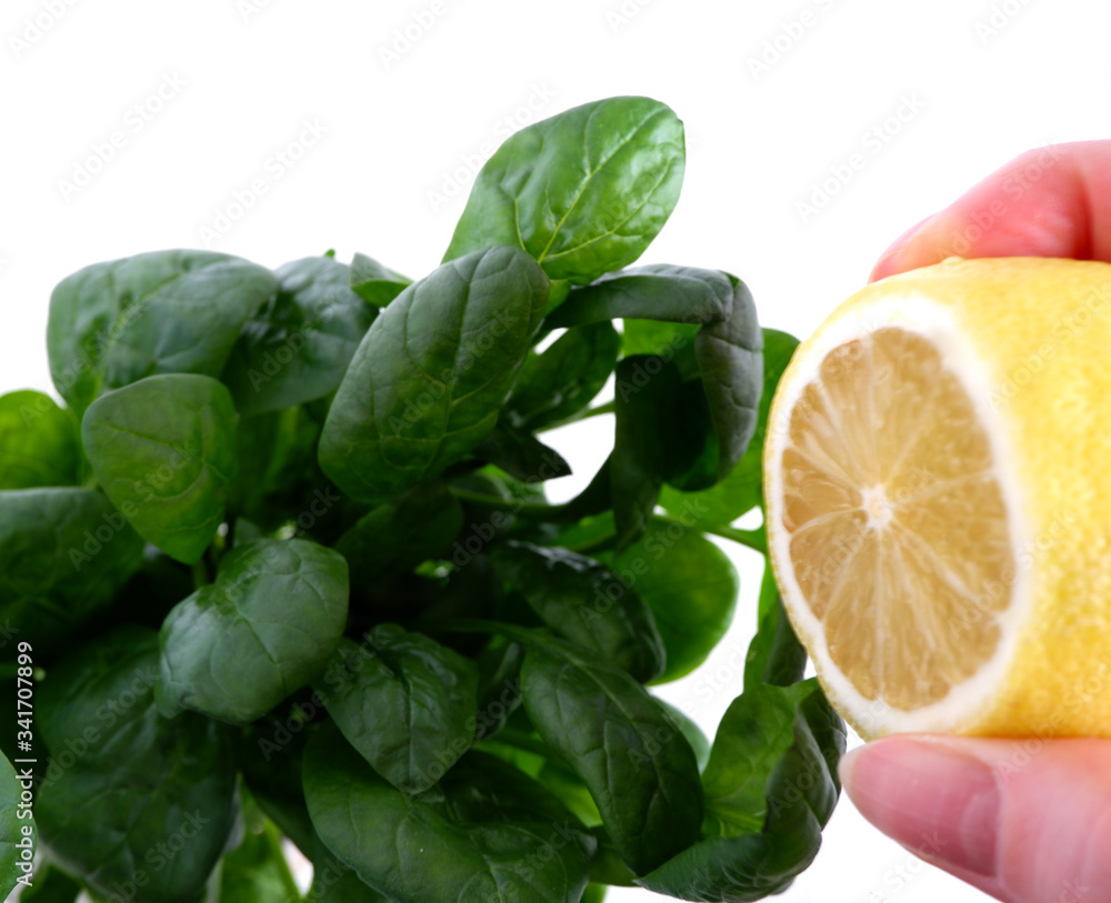 Hand pours lemon juice on spinach. White background. Beautiful green leaves. Healthy food Hand pours lemon juice on spinach. White background. Beautiful green leaves. Healthy food