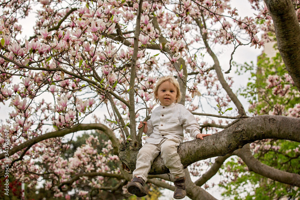 Child, boy in spring park with blooming magnolia trees Child, boy in spring park with blooming magnolia trees