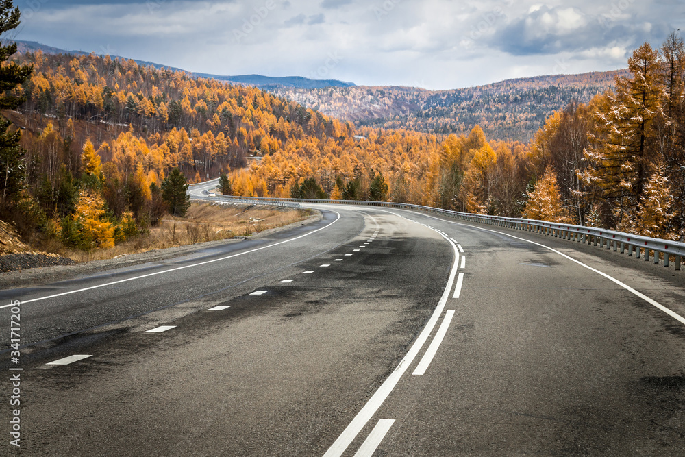 Fototapeta premium asphalt road in the autumn forest