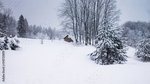 Zimowa aura w górach Bieszczadach