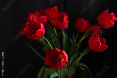 Amazing blooming red tulips bouquet on black background. Dark moody low key minimalism style flowers photo banner. Love greeting card copy space. Mother's Women's Valentine's day, romantic wallpaper.