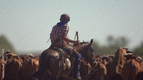 Gaucho herding photo
