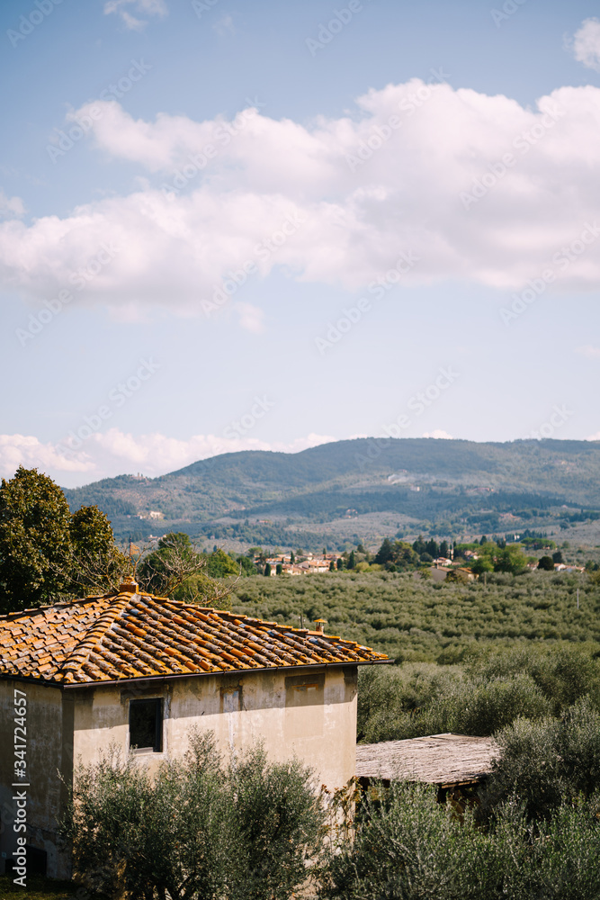 View on the olive grove and an old building from the Medici Villa of Lilliano Wine Estate, Italy
