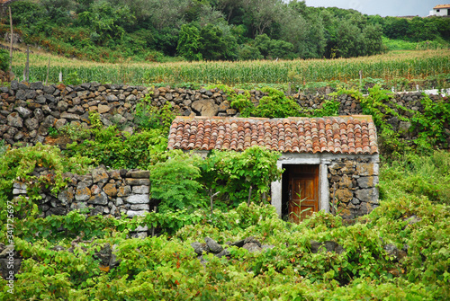 A small stone house in the middle of a green field in Terceira, Azores, Portugal