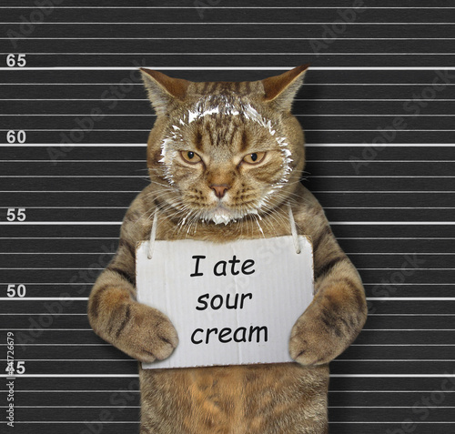 Billede på lærred The beige naughty cat was arrested