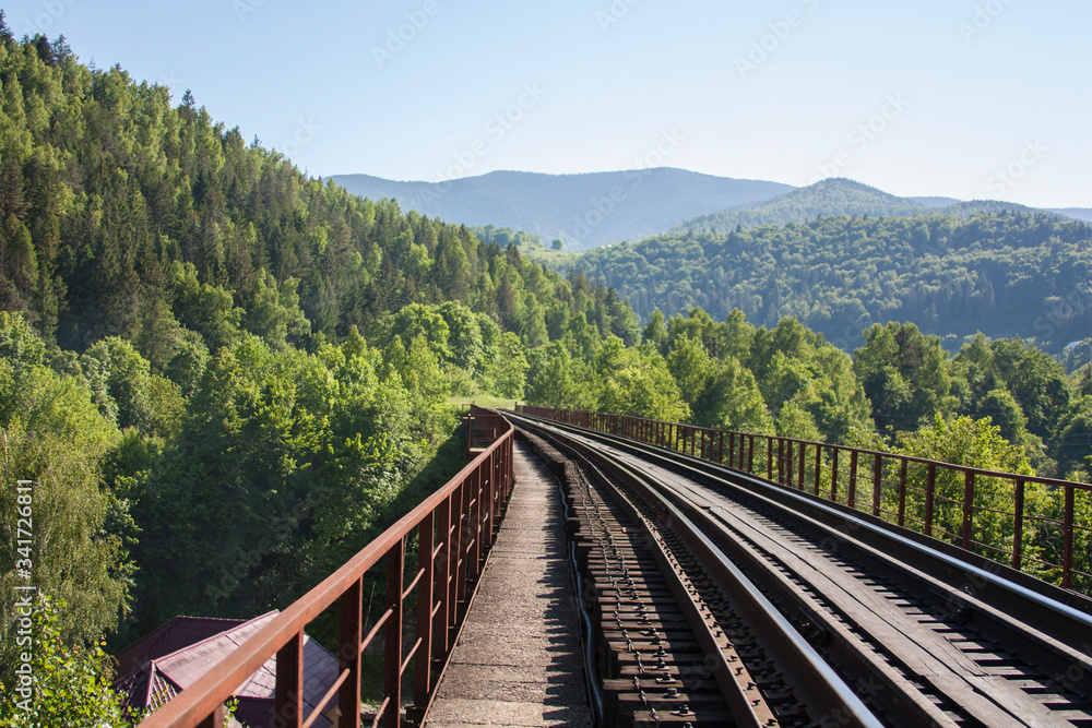 Fototapeta premium Railway bridge in the mountains between the forests in the Carpathians