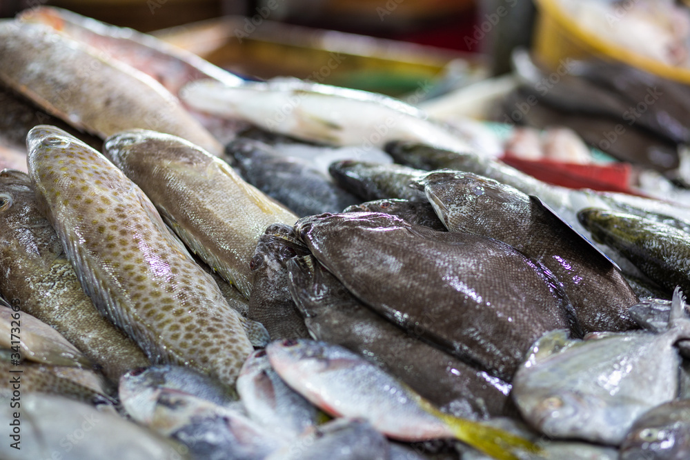 Fresh dea fish sell in fishery market Fresh dea fish sell in fishery market