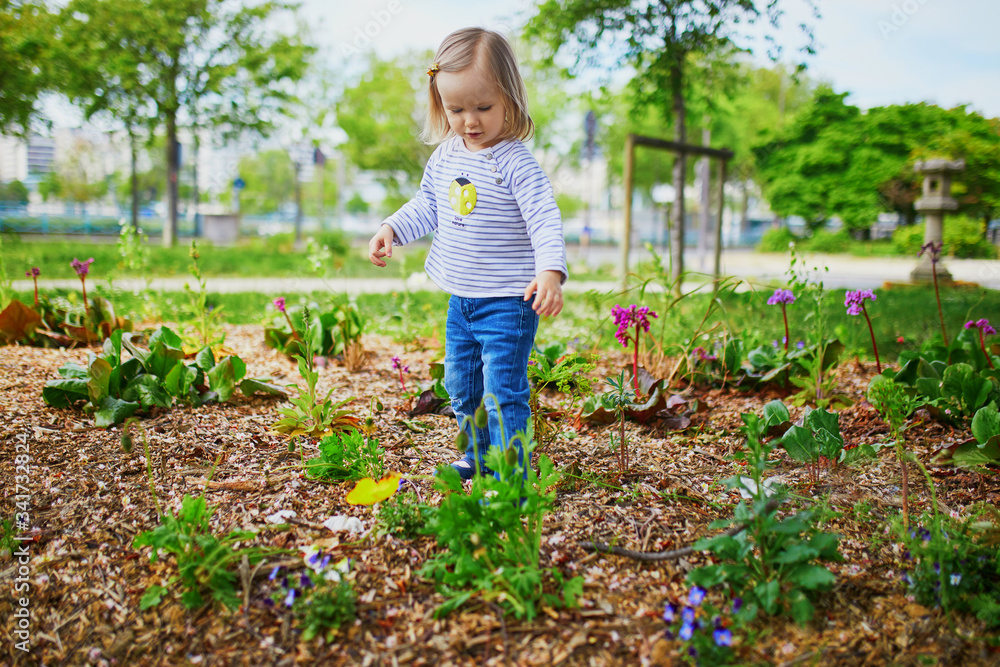Adorable toddler girl looking at growing flowers Adorable toddler girl looking at growing flowers