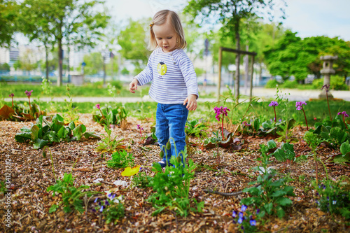Adorable toddler girl looking at growing flowers