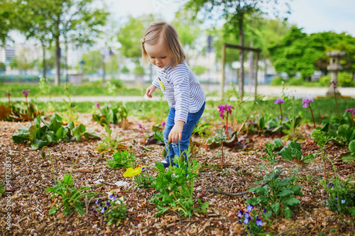 Adorable toddler girl looking at growing flowers