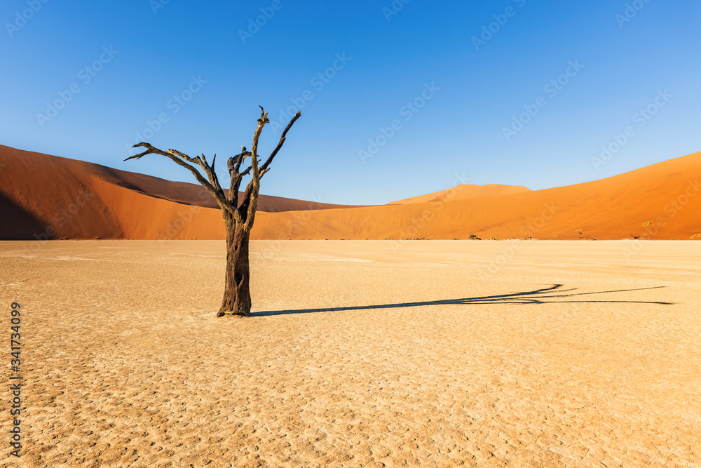 Sand Dune in the Namibian Desert near Sossusvlei in Namib-Naukluft National Park, Namibia. Sand Dune in the Namibian Desert near Sossusvlei in Namib-Naukluft National Park, Namibia.
