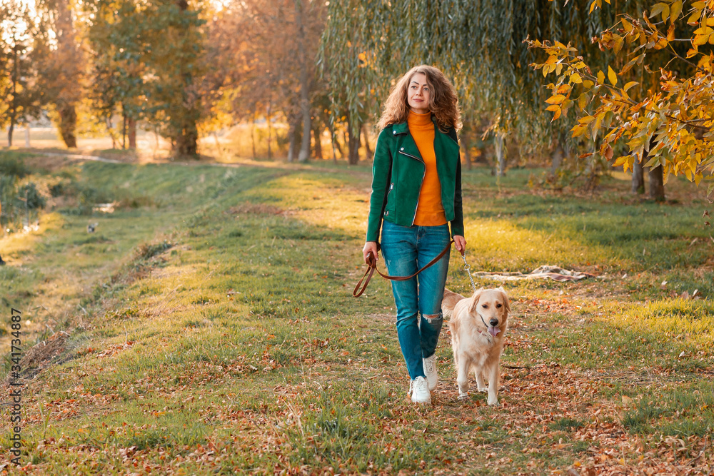 Golden retriever dog with a curly woman walking outdoors on sunny day. Training the dog in the park. love and care for the pet. Golden retriever dog with a curly woman walking outdoors on sunny day. Training the dog in the park. love and care for the pet.