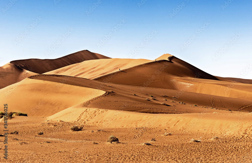 Sand Dune in the Namibian Desert near Sossusvlei in Namib-Naukluft National Park, Namibia.