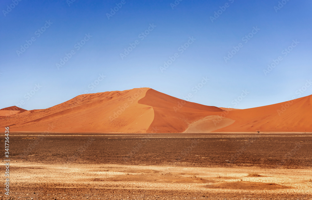 Sand Dune in the Namibian Desert near Sossusvlei in Namib-Naukluft National Park, Namibia.